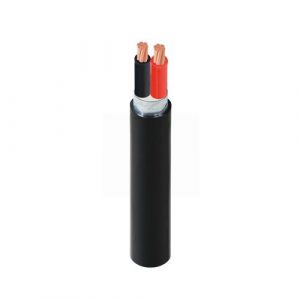 Cáp điện CVV/DSTA-2x50-0.6/1kV