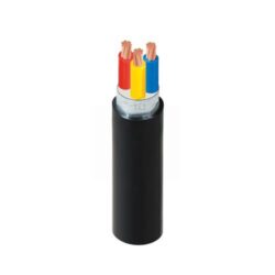 Cáp điện CVV/DSTA-3x10 - 0.6/1kV