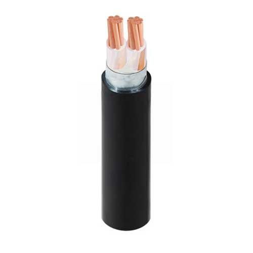 Cáp điện CXV/DSTA-2x4 (2x7/0.85)-0.6/1kV